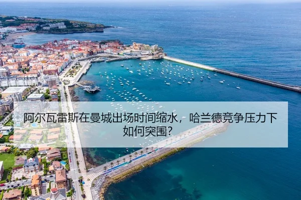 a-er-wa-lei-si-zai-man-cheng-chu-chang-shi-jian-suo-shui-ha-lan-de-jing-zheng-ya-li-xia-ru-he-tu-wei-3-844.jpg
